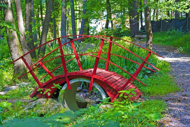 Forest Web Bridge Red Bach