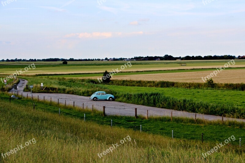 High Grass Grasses Nature Relaxation Recovery