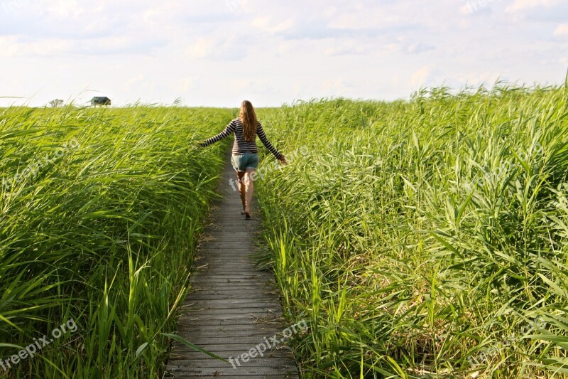 High Grass Walk Relax Enjoy Grasses