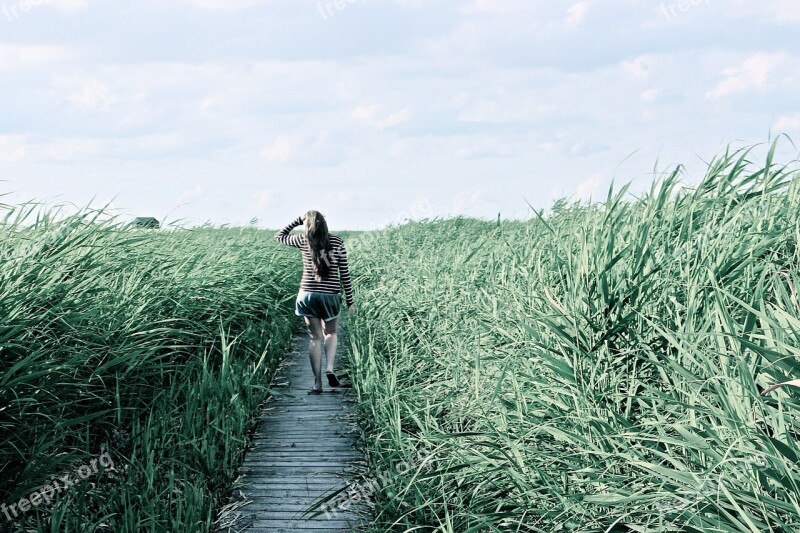 High Grass Walk Relax Enjoy Grasses