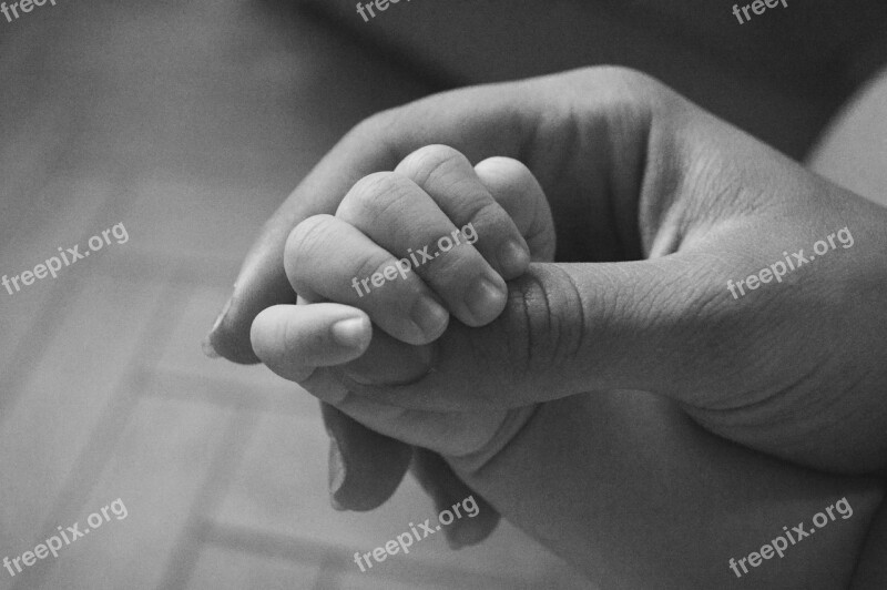 Hand Newborn Birth Hands Child