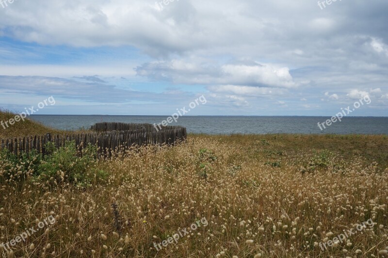 Mood Atlantic Brittany Dune Beach Grass