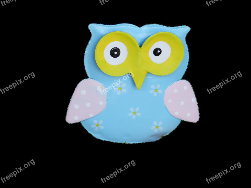 Animals Bird Owl Isolated No Background