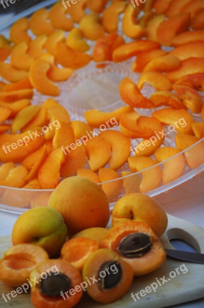 Apricots Fruit Orange Pips Sliced