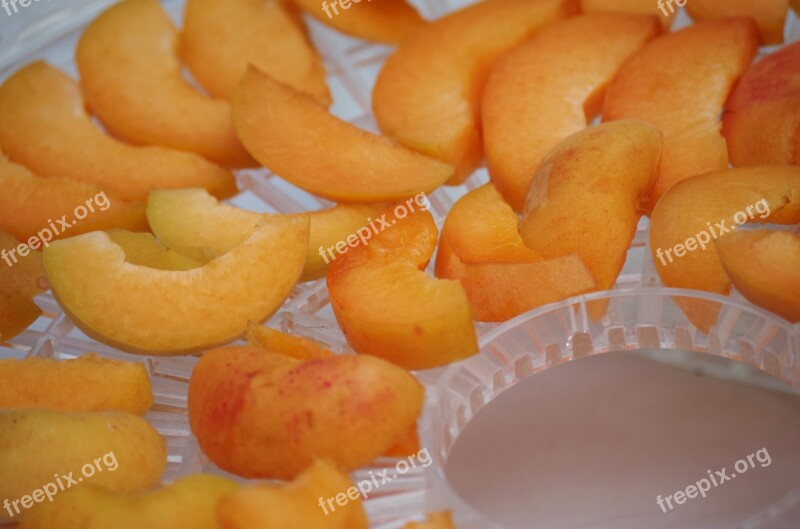 Apricots Fruit Orange Sliced Drying