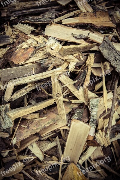 Wood Chips Firewood Wood Heat Growing Stock