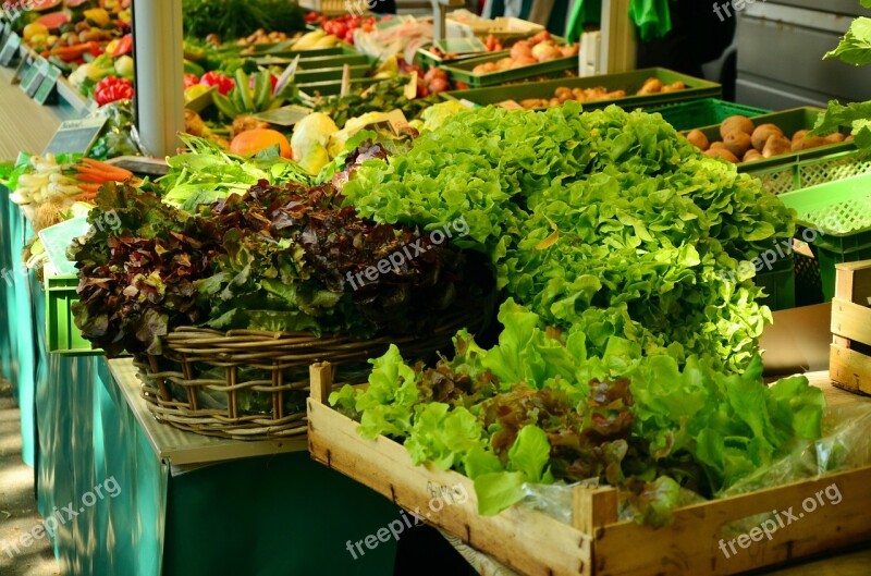 Salad Market Market Stall Green Salad Vegetables