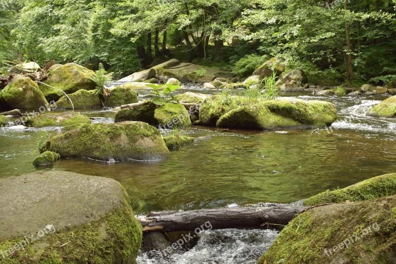 Bode River Water Stones Idyllic