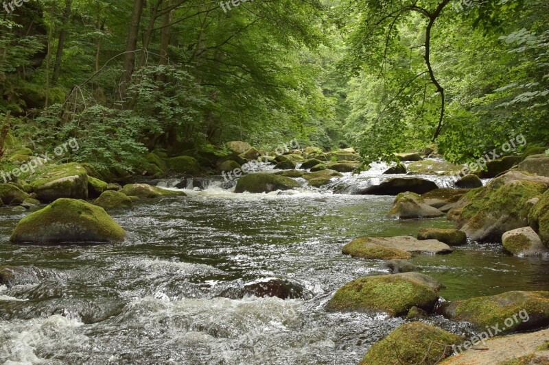 Bode River Water Stones Idyllic