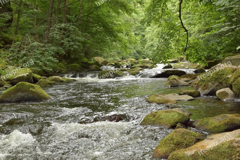 Bode River Water Stones Idyllic