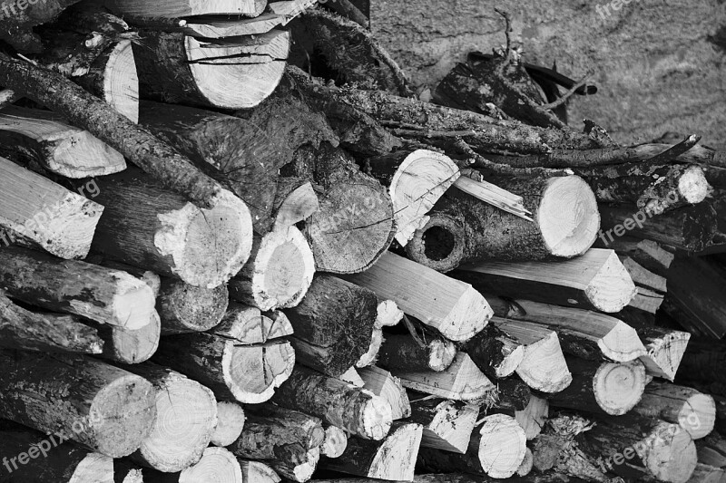 Logs Wood Stere Wood Pile Cup