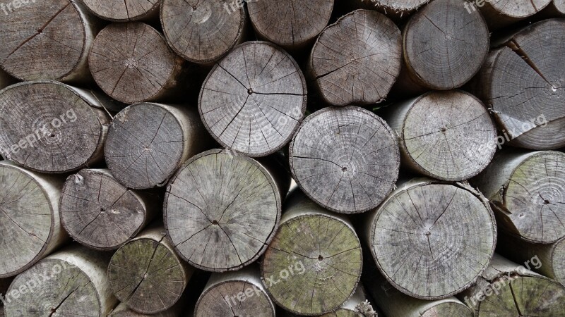 Old Wood Stack Annual Rings Grain Bleached