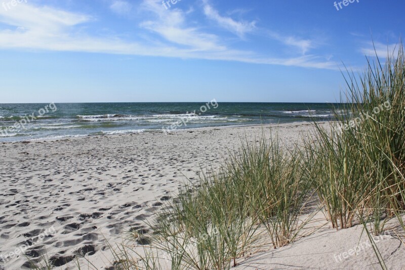 Hiddensee Marram Grass Landscape Beach Sand