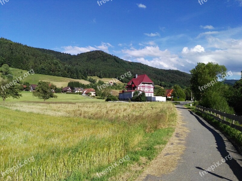 Black Forest Gutach Landscape Meadow Free Photos