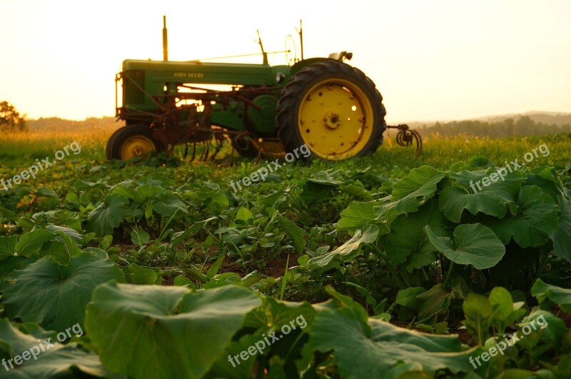 Agriculture Tractor John Deere Green Field