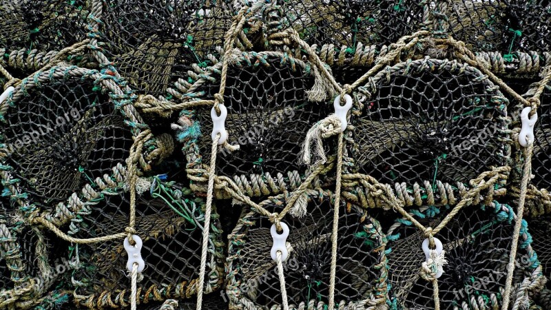 Lobster Pot Trap Creel Crayfish