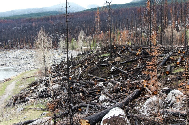 Forest Fire Spirit Lake Jasper Alberta Canada