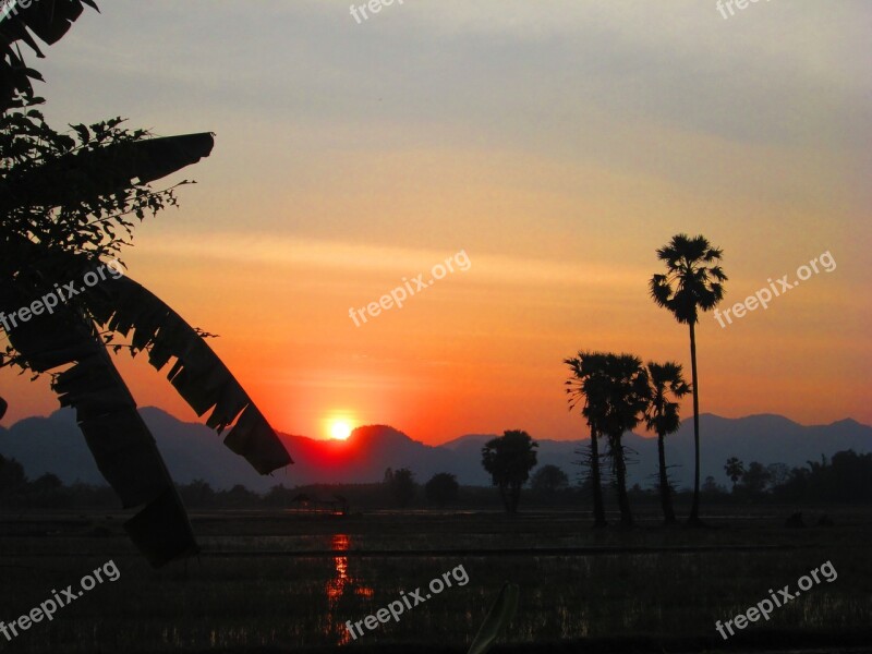 Sunset Kanchanaburi Thailand Palm Trees Silhouette