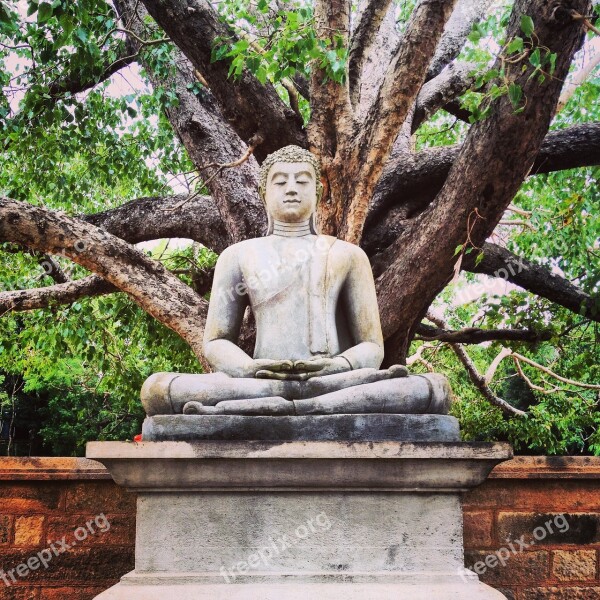 Buddha Sri Lanka Culture Buddhism Buddhist