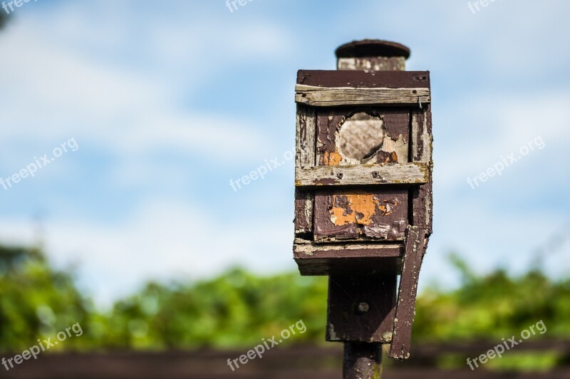 Nesting Box Old Bird Color Wood