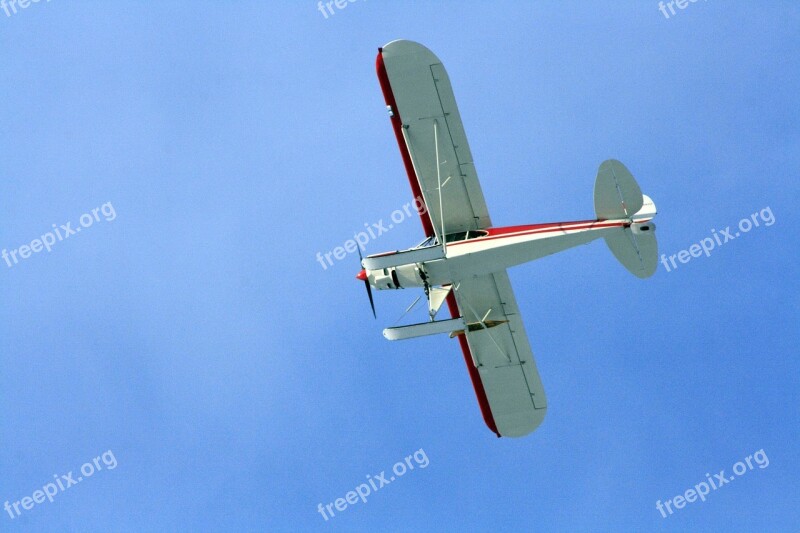 Airplane Fly Sky Background Flight Sky