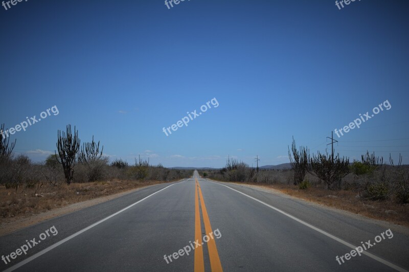 Backcountry Road Caatinga Brazil Stright