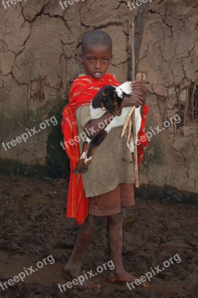 Goat Masaj Kenya Village Boy