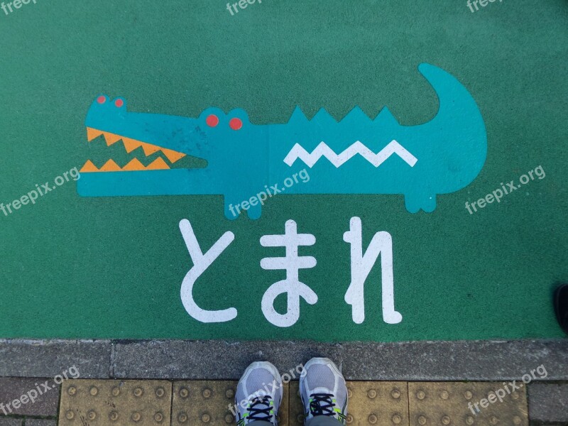 Pavement Crocodile Drawing Stop Sign