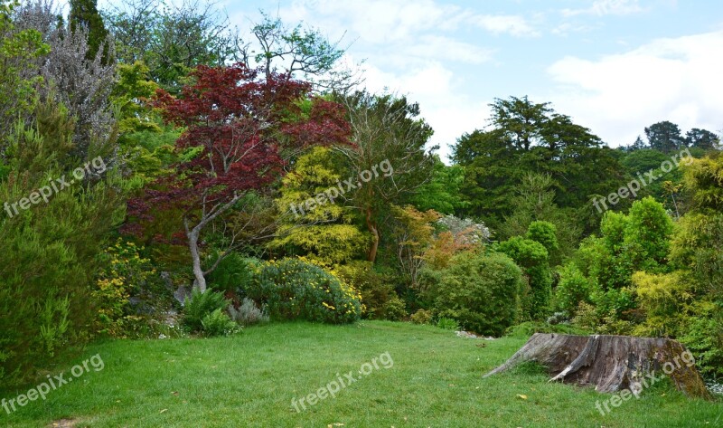 Park Parklandschaft Mood Nature Landscape