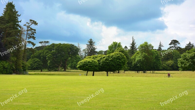 Park Parklandschaft English Garden Green Area Meadow