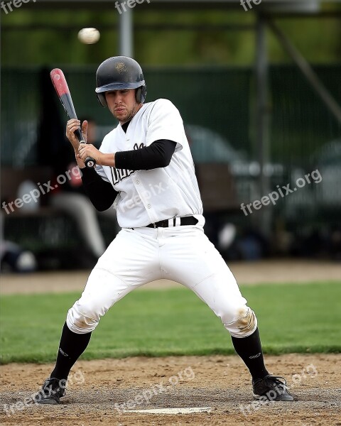 Baseball Player Sport Ball Game