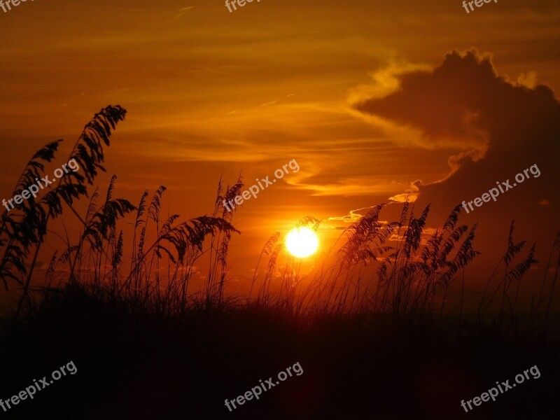 Sunset Evening Beach Sunset Sunlight Sunset Sky