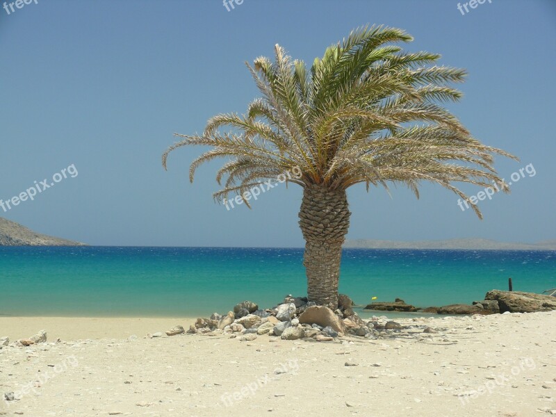 Crete Palm Trees Beach Sun Sea