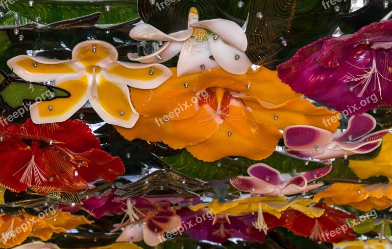 Chihuly Glass Sculpture Illuminated Norwegian Jade Cruise Ship Colorful