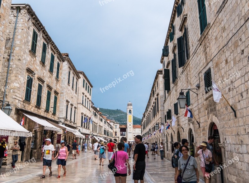 Croatia Dubrovnik Architecture Europe Flowers