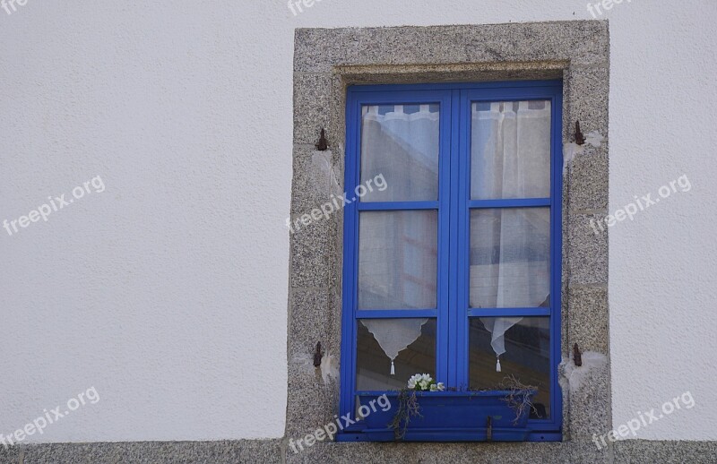 Window Blue Street Flowers City