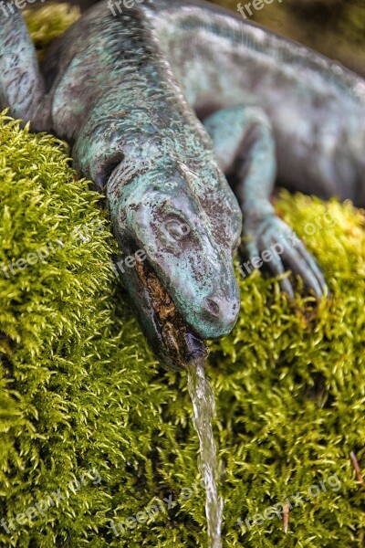 Lizard Fountain Figure Water Feature Dragon