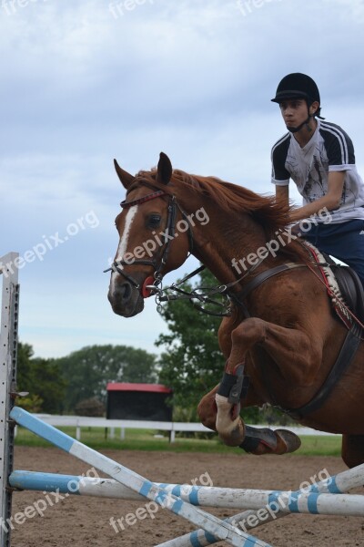 Sport Horse Riding Horse Jockey Jump