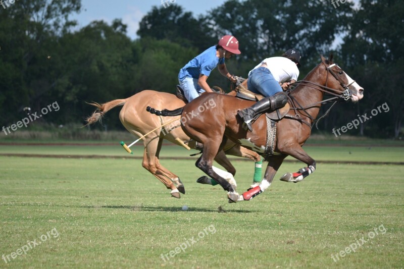 Sports Polo Club San Jorge City Of Hurlingham Jockey