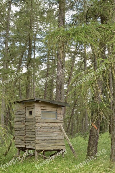 Hunting Lodge Forest Hunting Seat Nature Free Photos