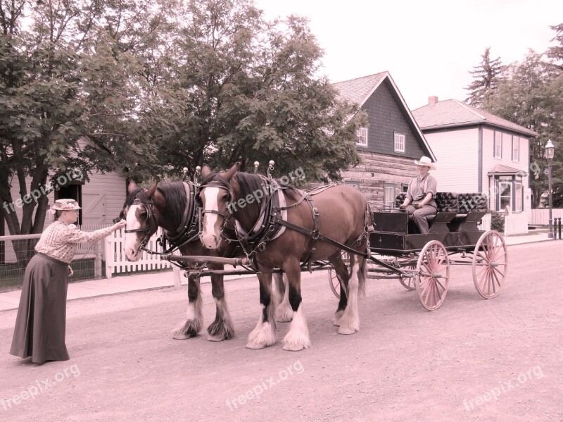 Horse Drawn Carriage Pioneer Wagon Old Carriage