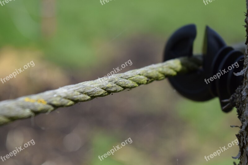 Fence Electric Fence Pasture Fence Stretched Close Up