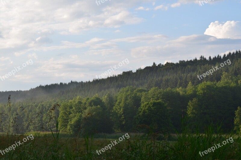 Forest Haze Landscape Sky Green