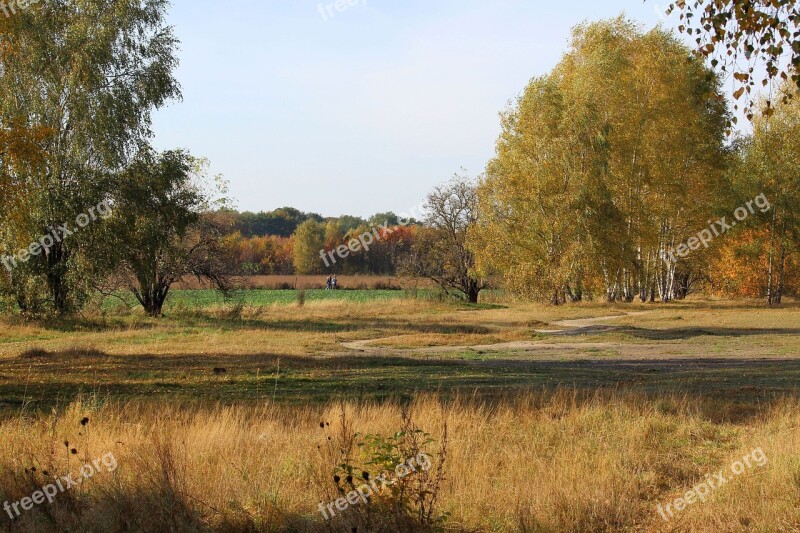 Landscape Late Summer Trees Colorful Autumn Light