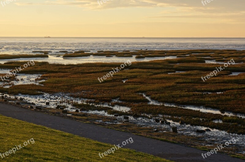 Summer Terschelling Land Sea Landscape