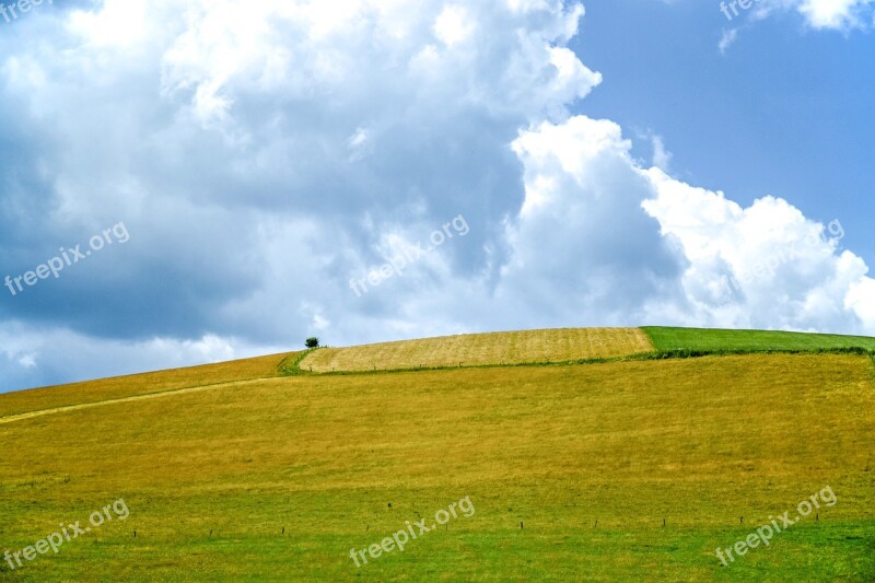 Pasture Land Meadow Role Field Crops Nature