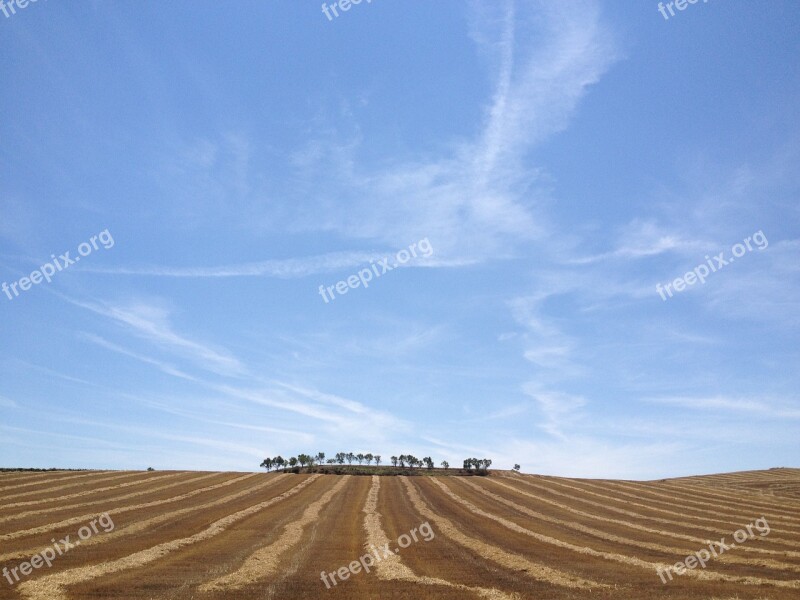 Santiago Camino Spain Europe Wheat Fields