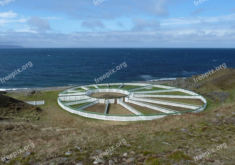 Iceland Sheep Fence Fencing Coupling