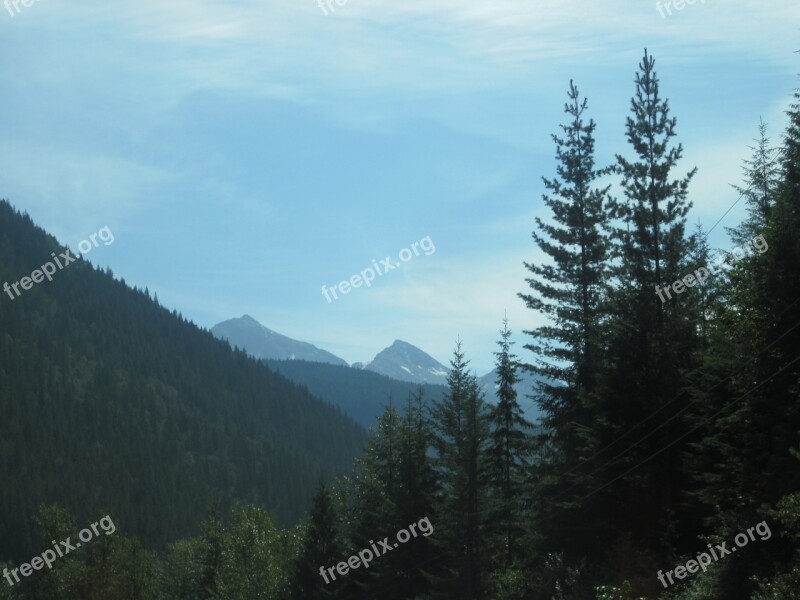 Holiday Canada Mountains Foresttrees Landscape