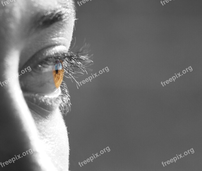 Eyes Face Female Beautiful Eyes Eyes Close Up